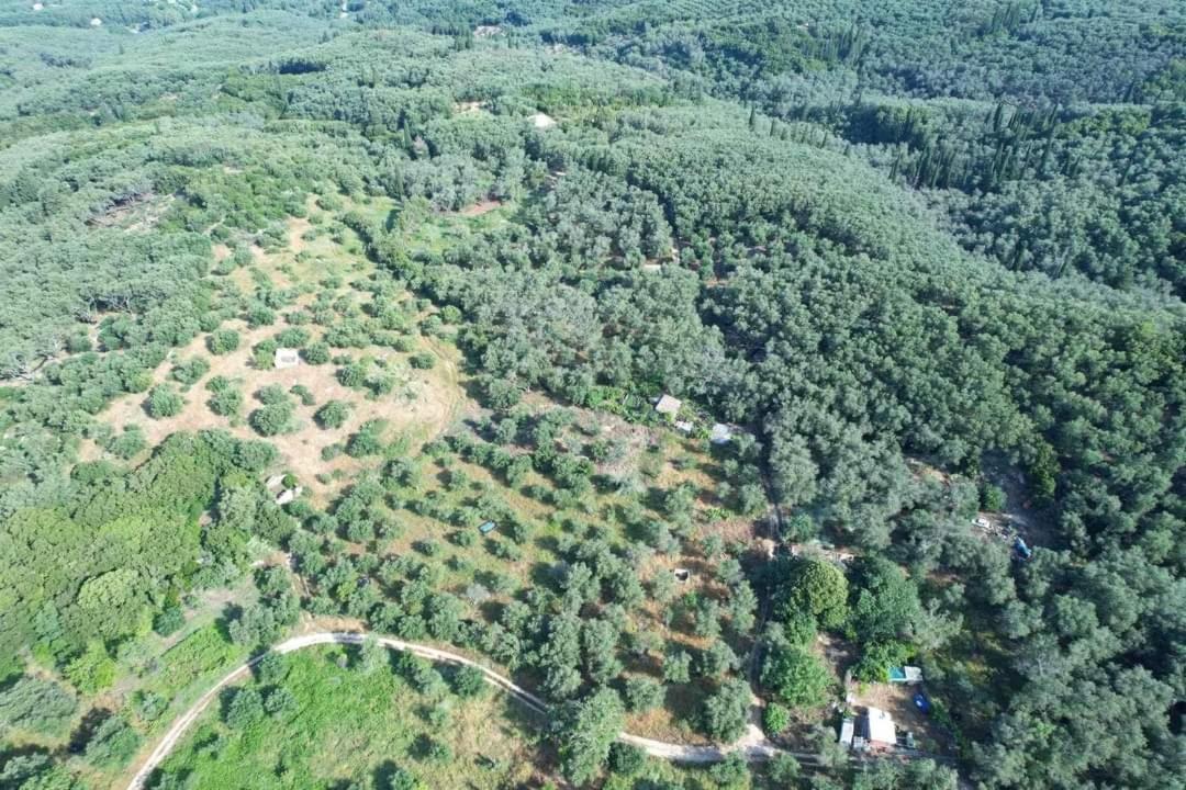 Harry'S Retreat Konuk evi Klimatia Dış mekan fotoğraf